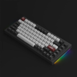 Review of the Dracula Castle 5075B keyboard.